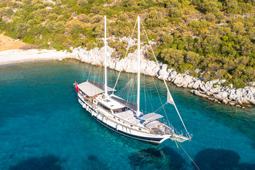 Grand Sailor Photo 1